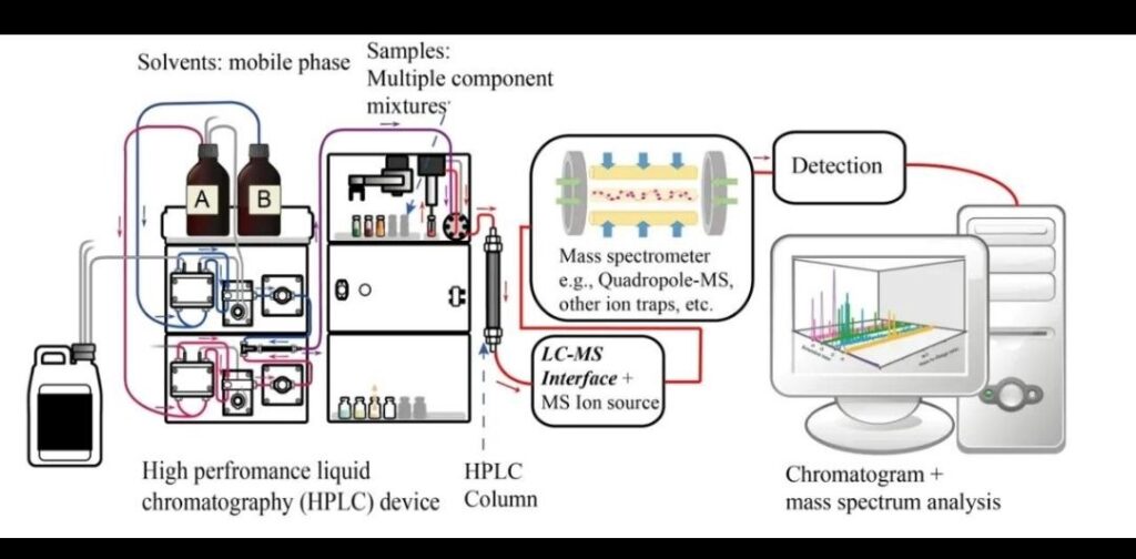 How to Read a Peptide COA: 10 Critical Things to Know About HPLC and Mass Spectrometry Reports HPLC versus mass spectrometry comparison infographic for peptide analysis.